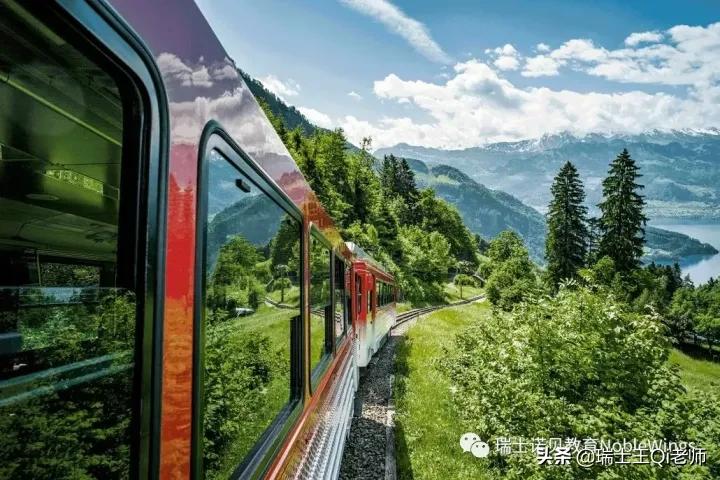 瑞士老司机在成都,瑞士老司机视频