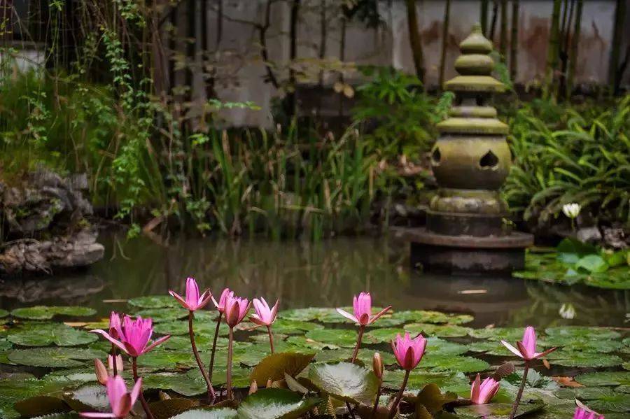 来清远必要玩的地方,去清远玩