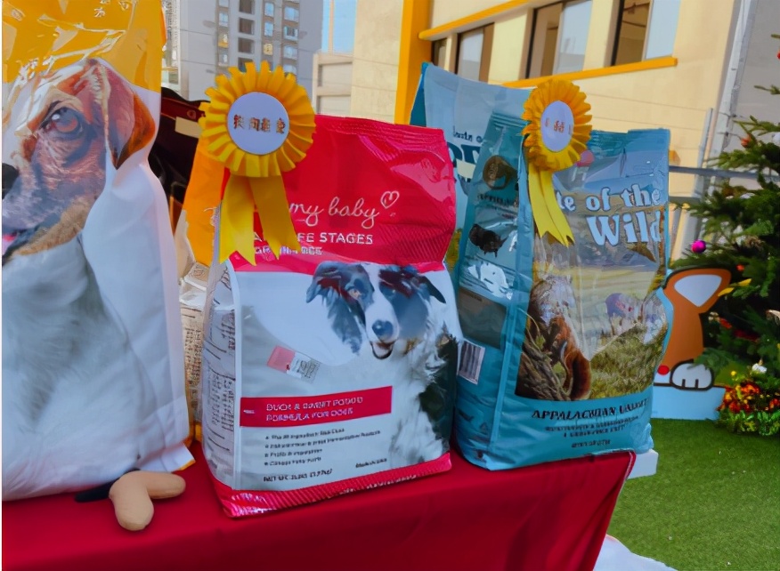 狗狗相亲大会30只柯基,柯基找对象要找有经验的大狗吗