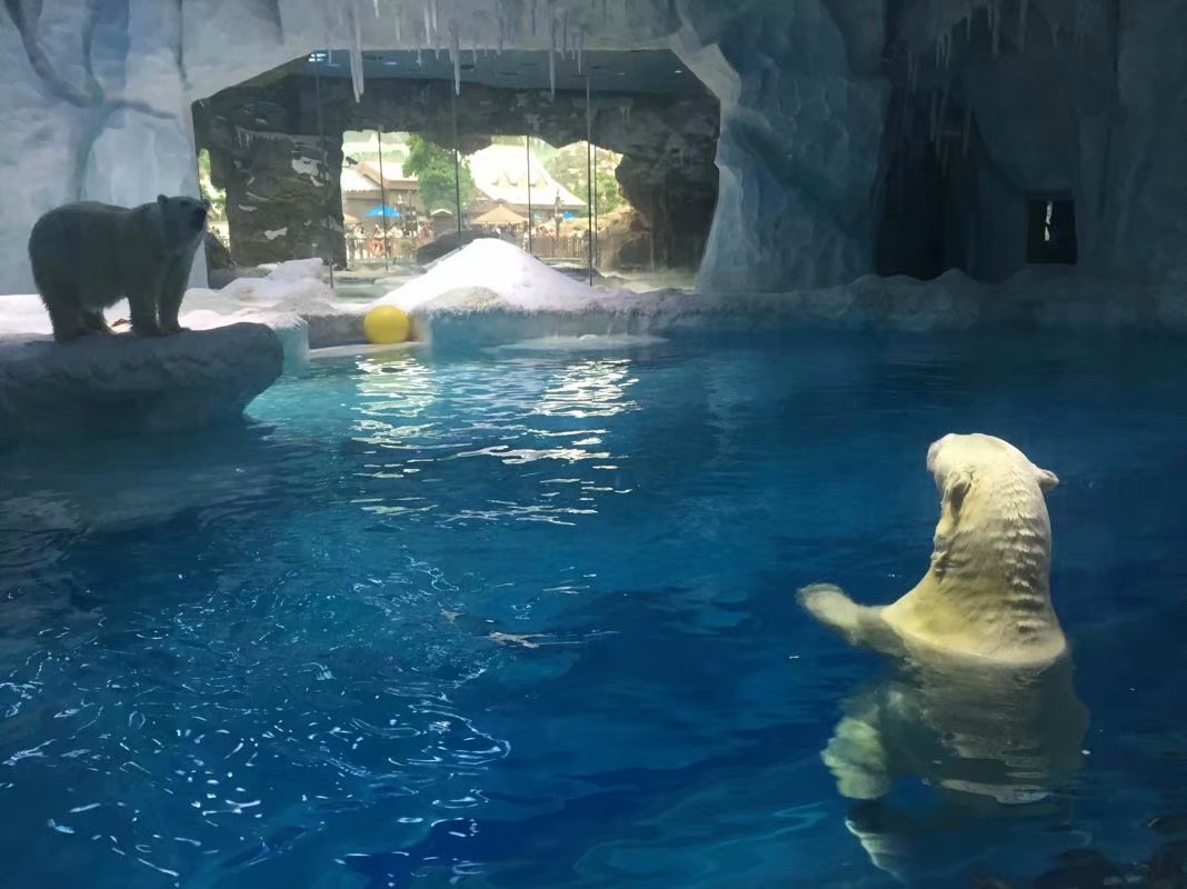 全球最大的长隆海洋公园,沉浸式参观长隆海洋王国