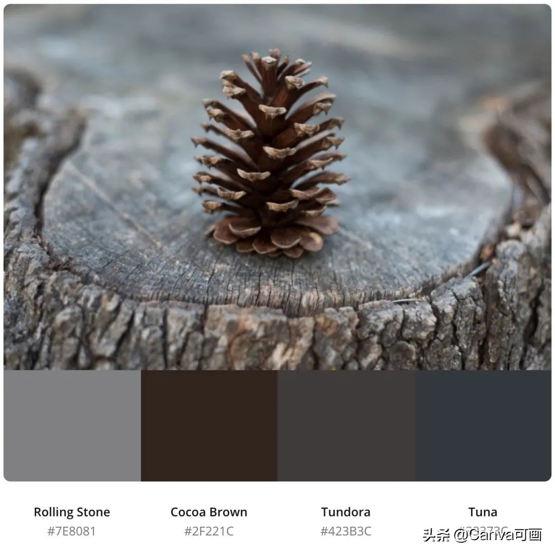 秋天配色插画秋高气爽,秋季高清插画