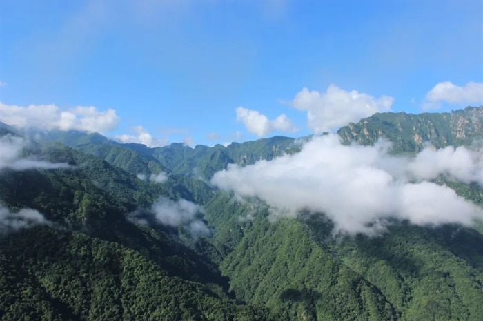 宝鸡附近避暑绝佳的地方,宝鸡十大避暑景点排名第一