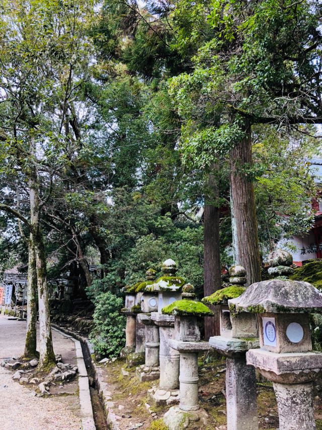 不会日语的日本自由行攻略,不会日语在日本怎么玩