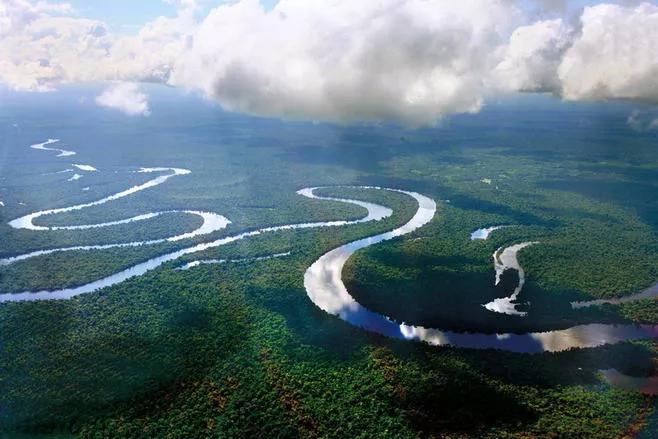 长江禁捕恢复最快的鱼,长江重新被发现的灭绝生物