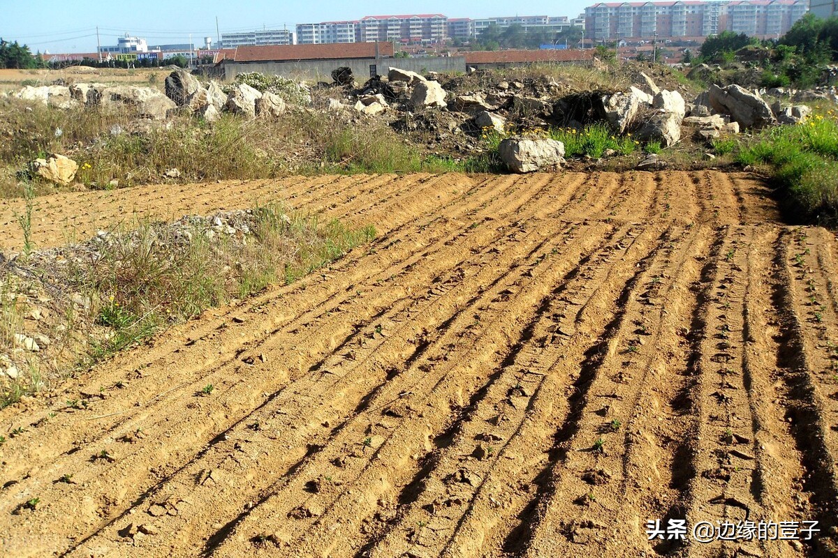 7月份，农村耕地“三不准”落地，集中清理“地闲房空人荒”问题