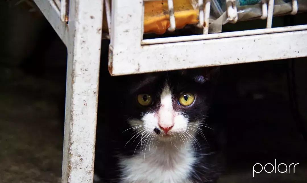 铜元局记忆视频,铜元局记忆照片