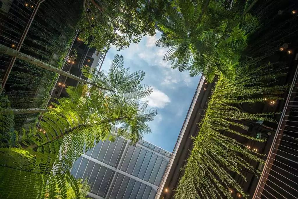 商业街铺装景观设计,商业街区景观设计思路