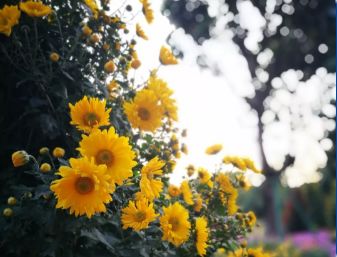 自拍达人全景,南宁自拍拍照博主