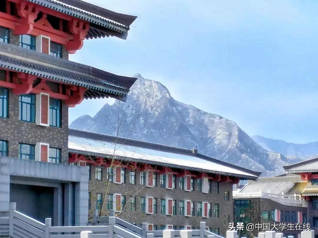 请收藏这份冬日限定浪漫|校园“周”在线(10月29日—11月7日)