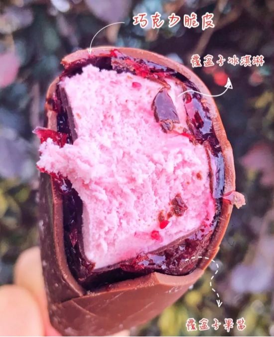 4种受欢迎的网红雪糕,今年的网红雪糕都有哪些牌子