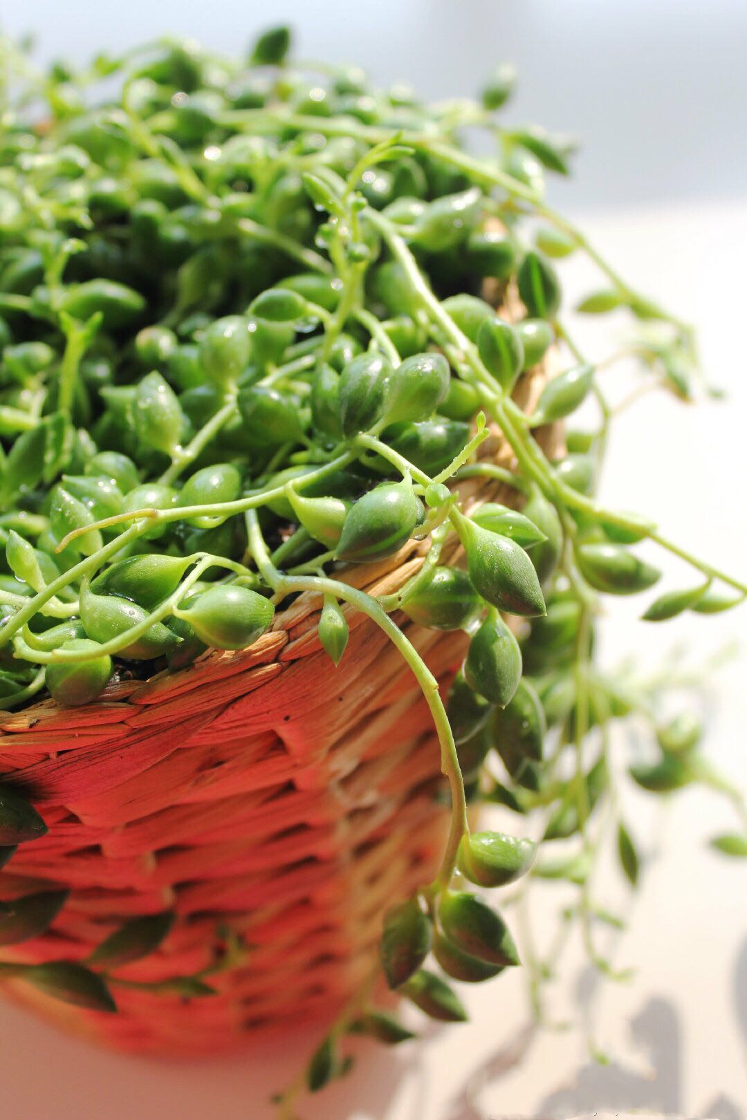 宜家购物清单第二弹-----盘点那些让生活变美好的宜家小物