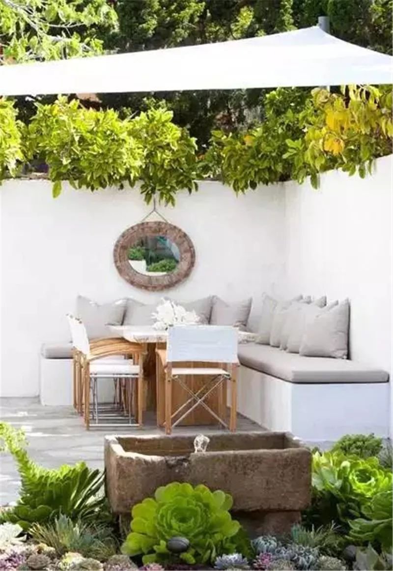 老外的多肉盆景惊艳了世界,多肉庭院美极了