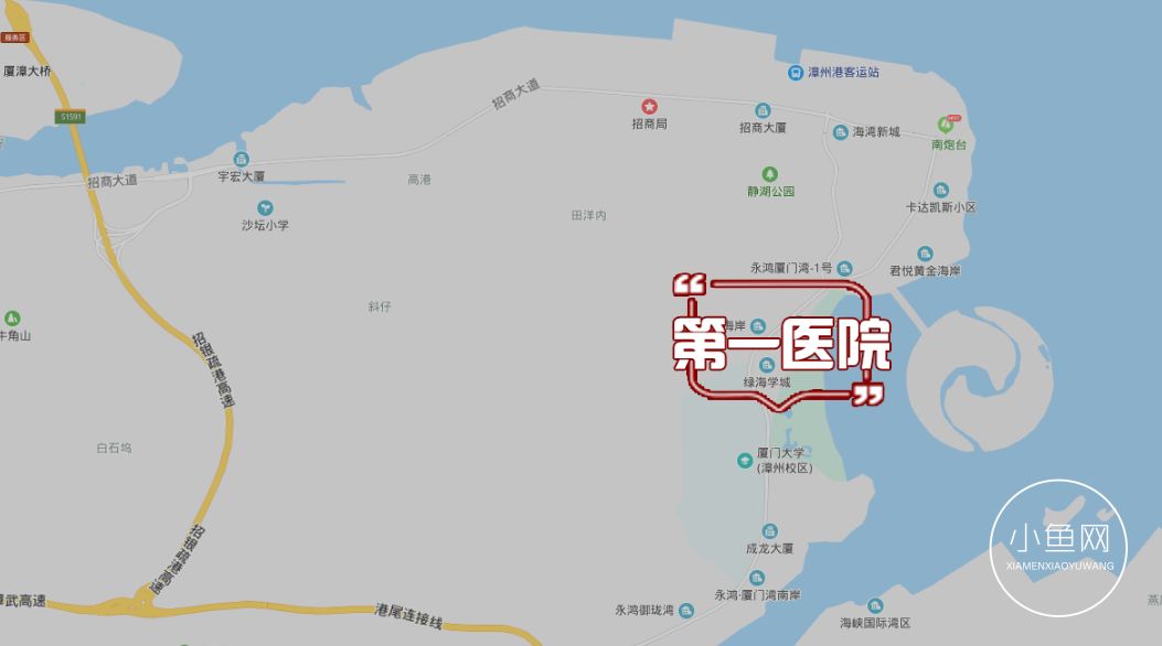 鬼城or未来可期？我们走进漳州港，发现“接盘侠”的各种悲喜交加