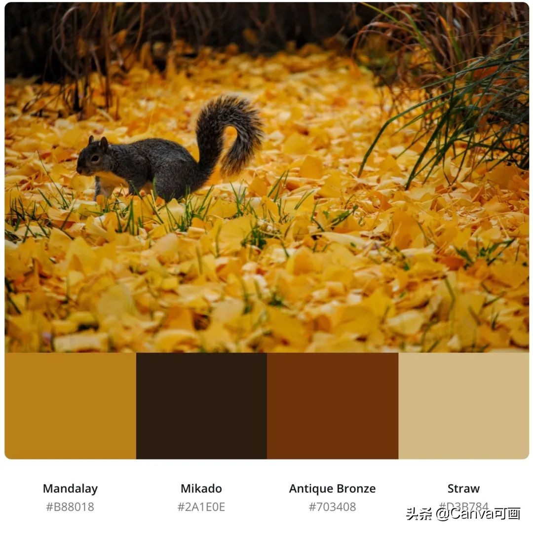 秋天配色插画秋高气爽,秋季高清插画