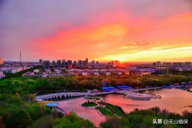 上榜啦！*疆新**鸟市和石市即将被国家命名！未来发展不可估量