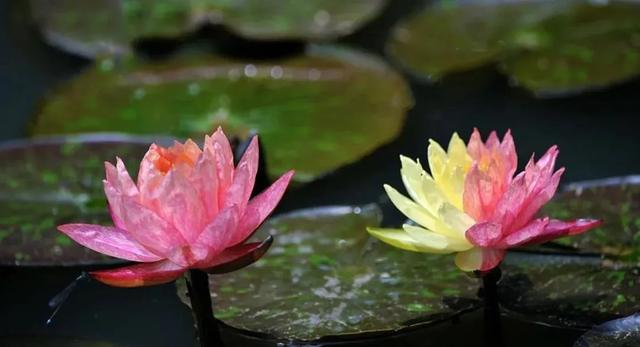 昆明周边一日游最值得去的地方,昆明周边一日游的地方推荐