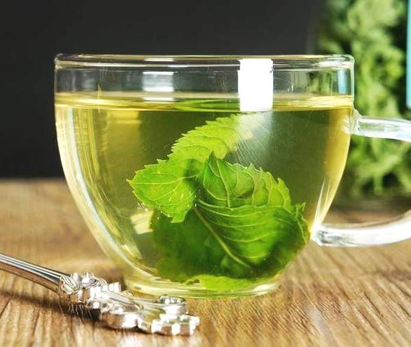 净化空气而且对身体好的花,净化空气对人身体有益的花