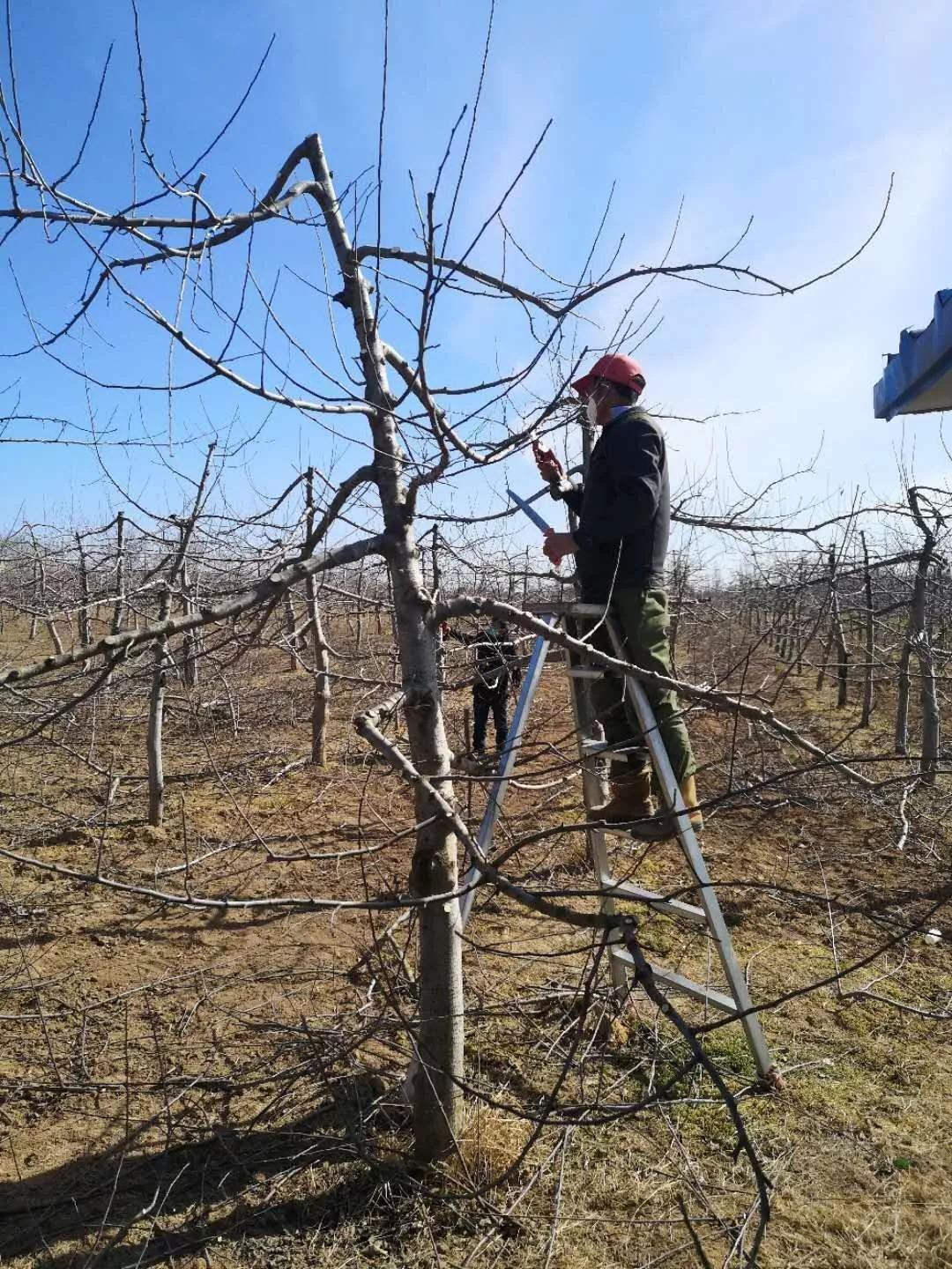 平凉泾川疫情防控政策最新,平凉疫情防控措施表格图