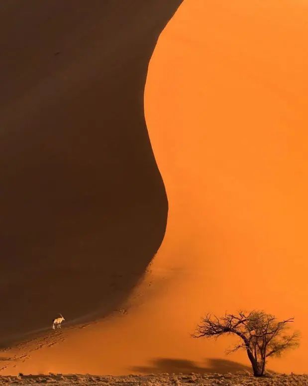 世界还有没确诊的国家,全球仅剩的4个零确诊的国家