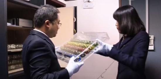 彩票你不知道的玩法,你不知道的彩票