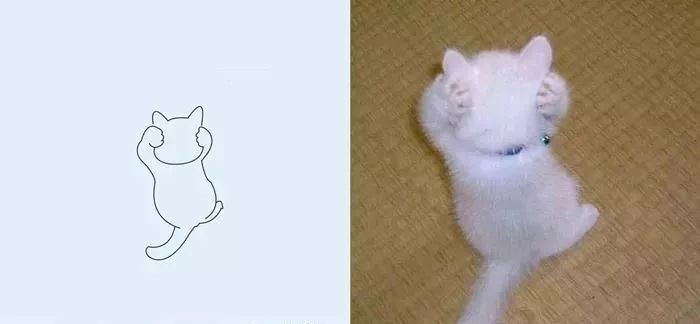 你和大触绘画的区别：一看就会一画就废，这波动物简笔画太形象了