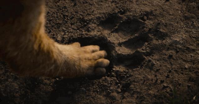 看狮子王电影,看电影狮子王