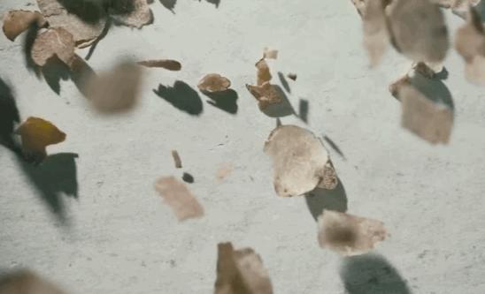 fresh白松露面膜吐槽,fresh面膜199