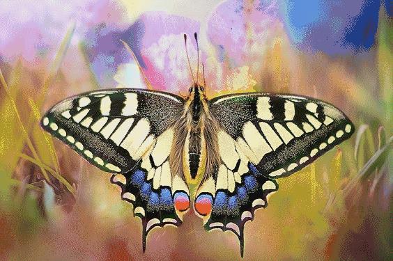 欧亚大观乐活城有活动吗,欧亚大观乐活城玩的地方