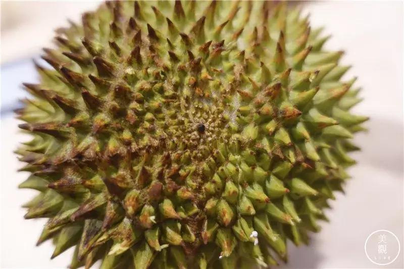 做完这期测评,朋友问我是不是吃“shi”了||美观测评