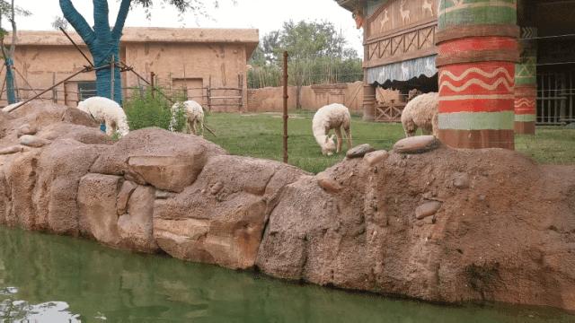 野生动物王国值不值得去,北方新开的动物王国