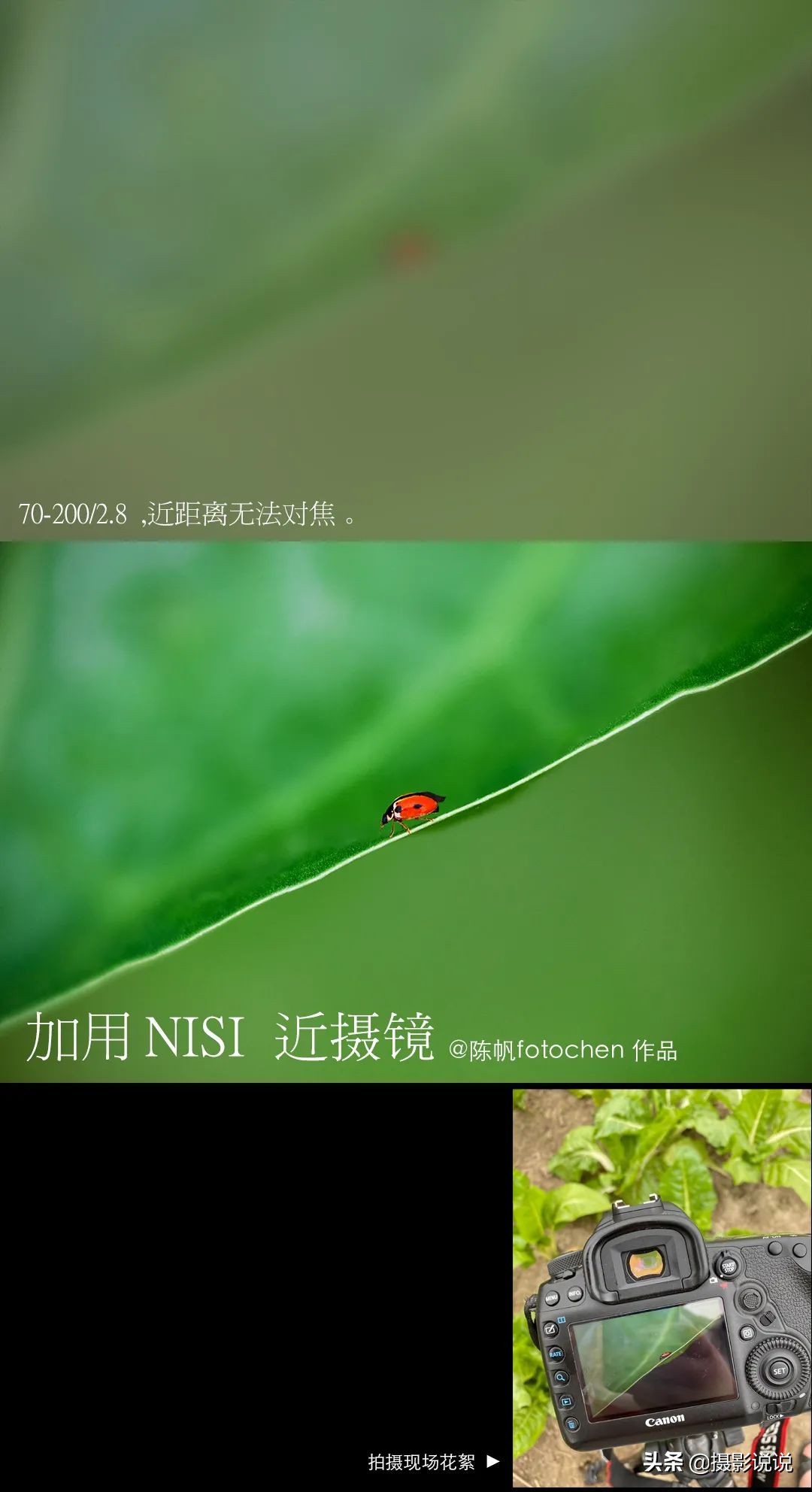 近摄镜拍微距,近摄镜测评视频