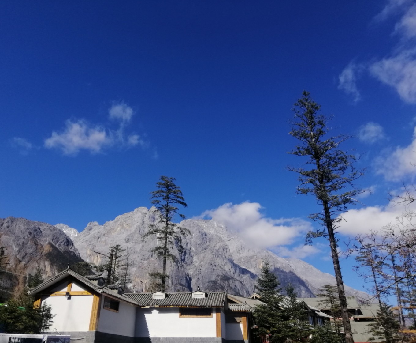 云南六日五晚免费游,云南五天四晚一人游