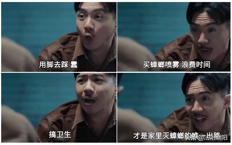 灭蟑螂最好的方法一招解决,蟑螂怎么灭杀最好方法