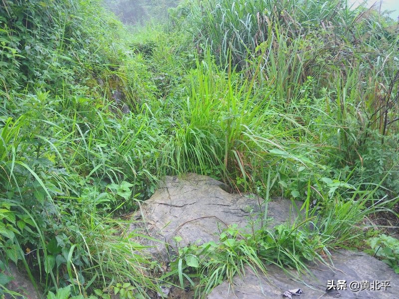 贵州遵义安场古道,贵州正安羊角老古道