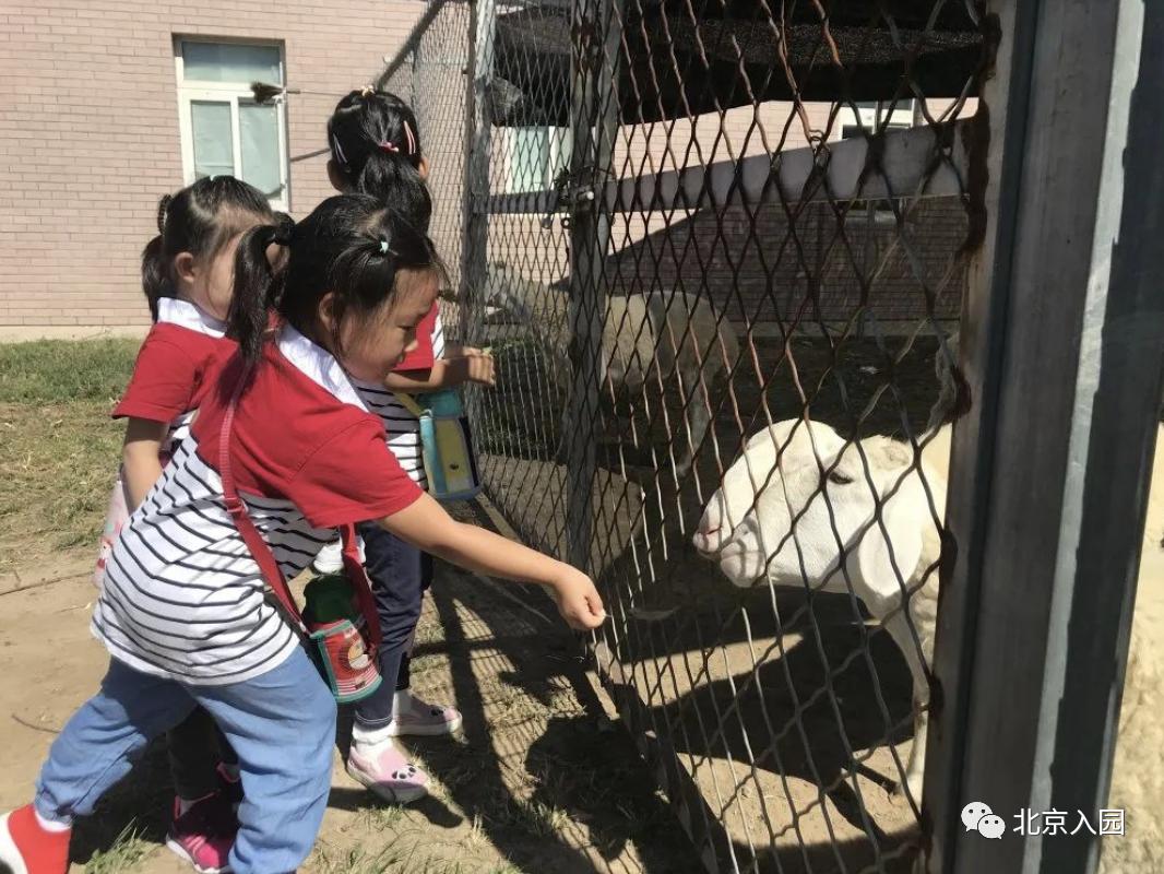 北京儿童室内动物园,占地7000平幼儿园