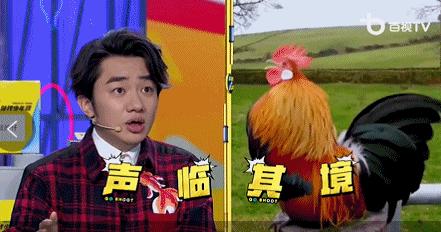 这些宝藏弟弟，终于要爆了