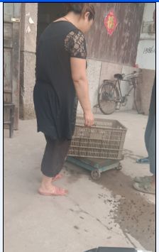 行行出状元都是民间的奇才,行行出状元创业