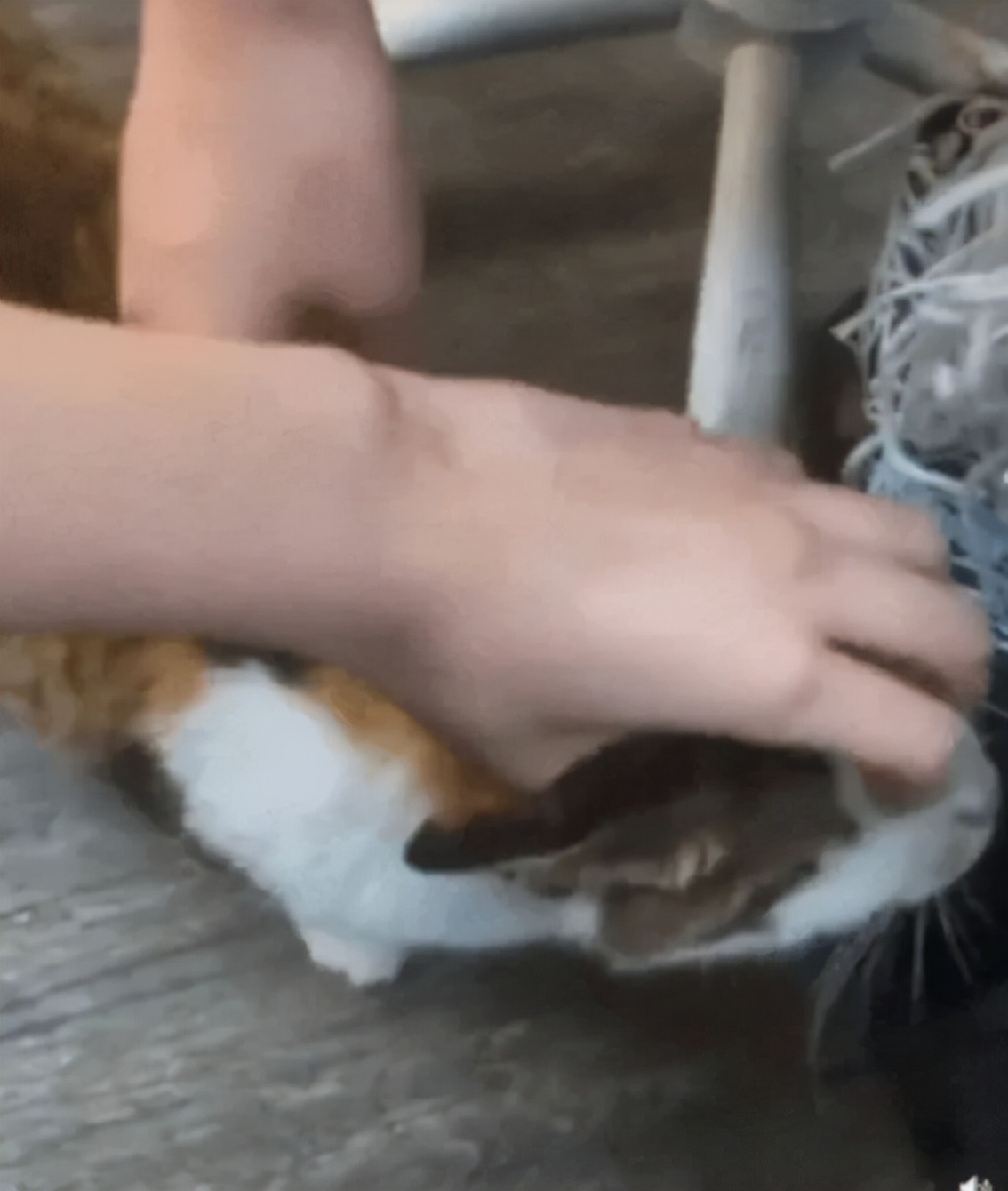 blackpink老大为什么是智秀,blackpink金智秀为什么被排挤