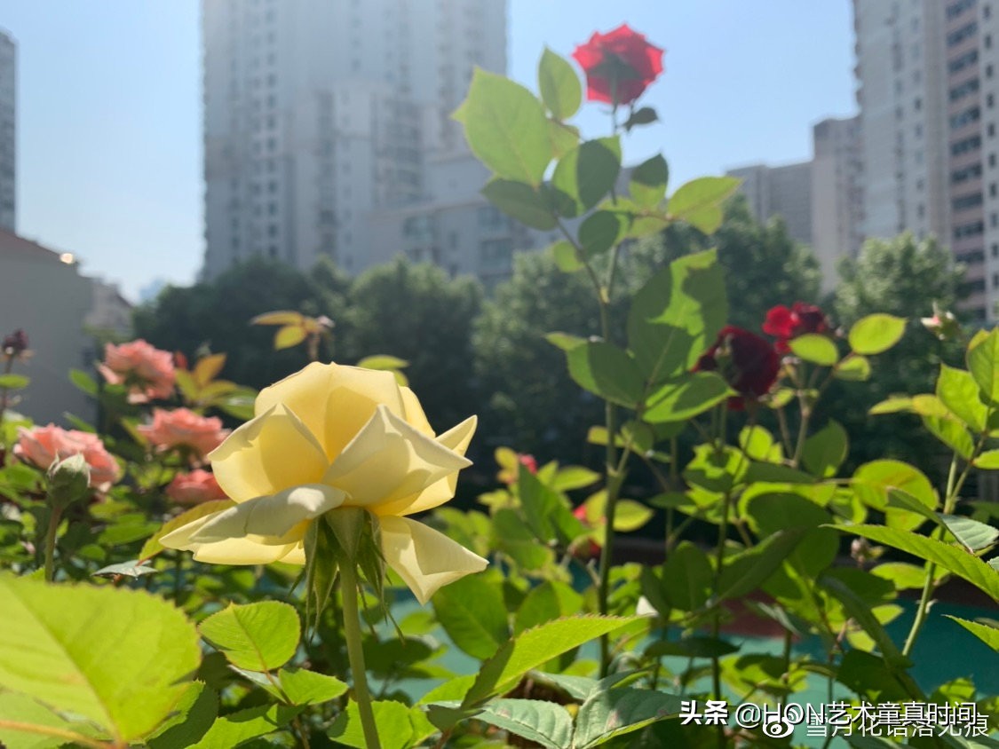 我们是时间旅行者寻找生命中的光,我们都是旅行者寻找生命中的光