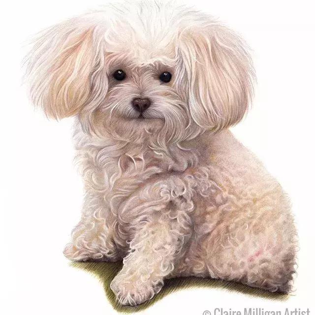 画得比实物好看,彩铅怎么样能画好看