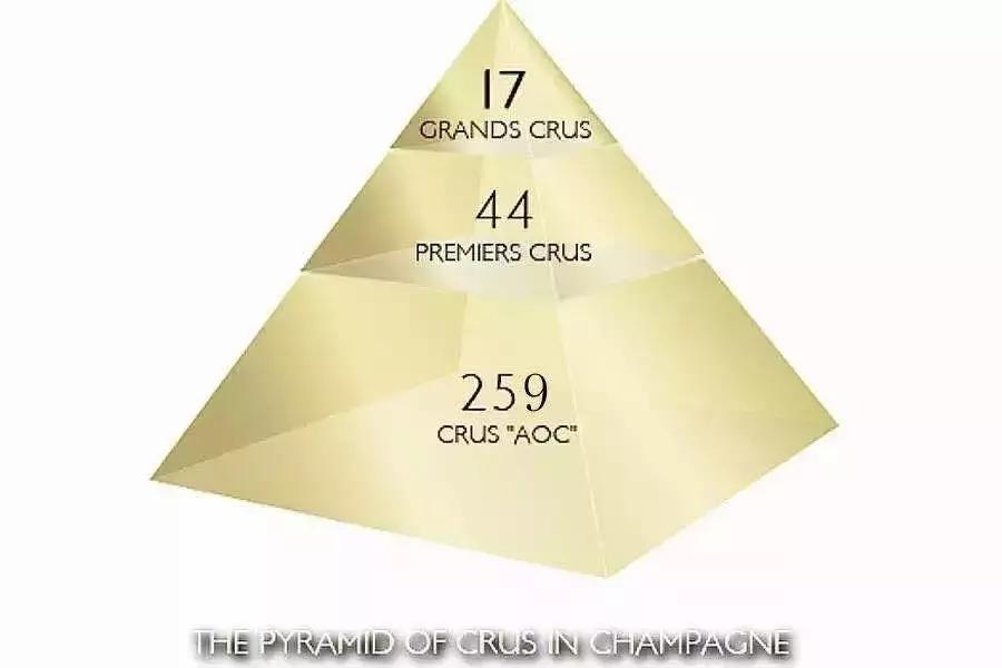 喝起泡酒真的好喝吗,喝起泡酒