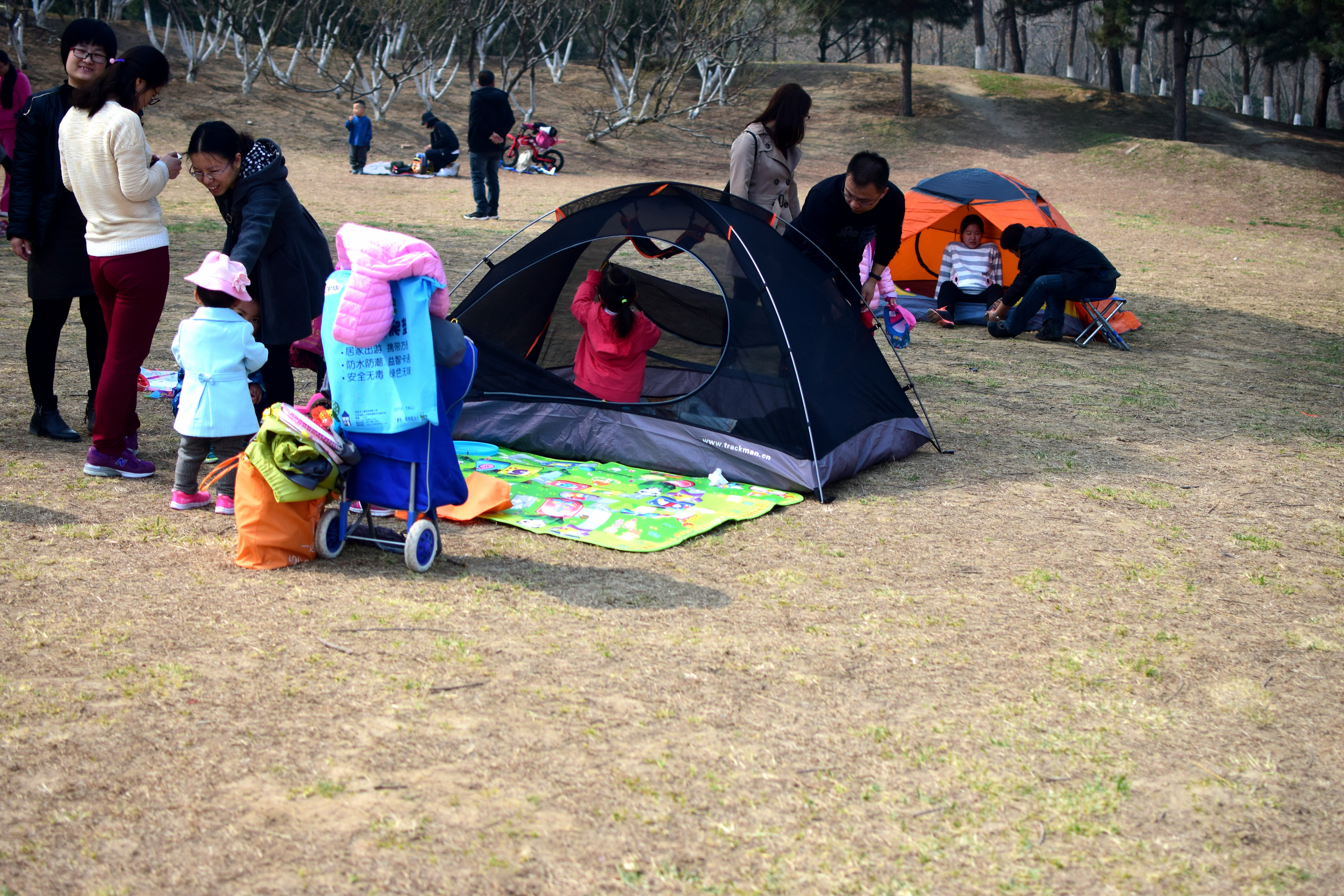 北京奥森让搭帐篷吗,奥森公园禁止营业吗