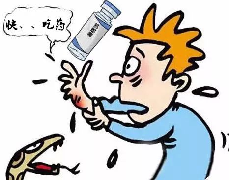 野外遇见巨型眼镜王蛇,近两米长眼镜王蛇