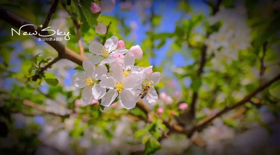 烟台张裕酒庄参观推荐,烟台打卡网红景点月亮湾