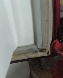 抽油烟机油渍家庭小妙招,油烟机抽气孔被油腻堵住了怎么办