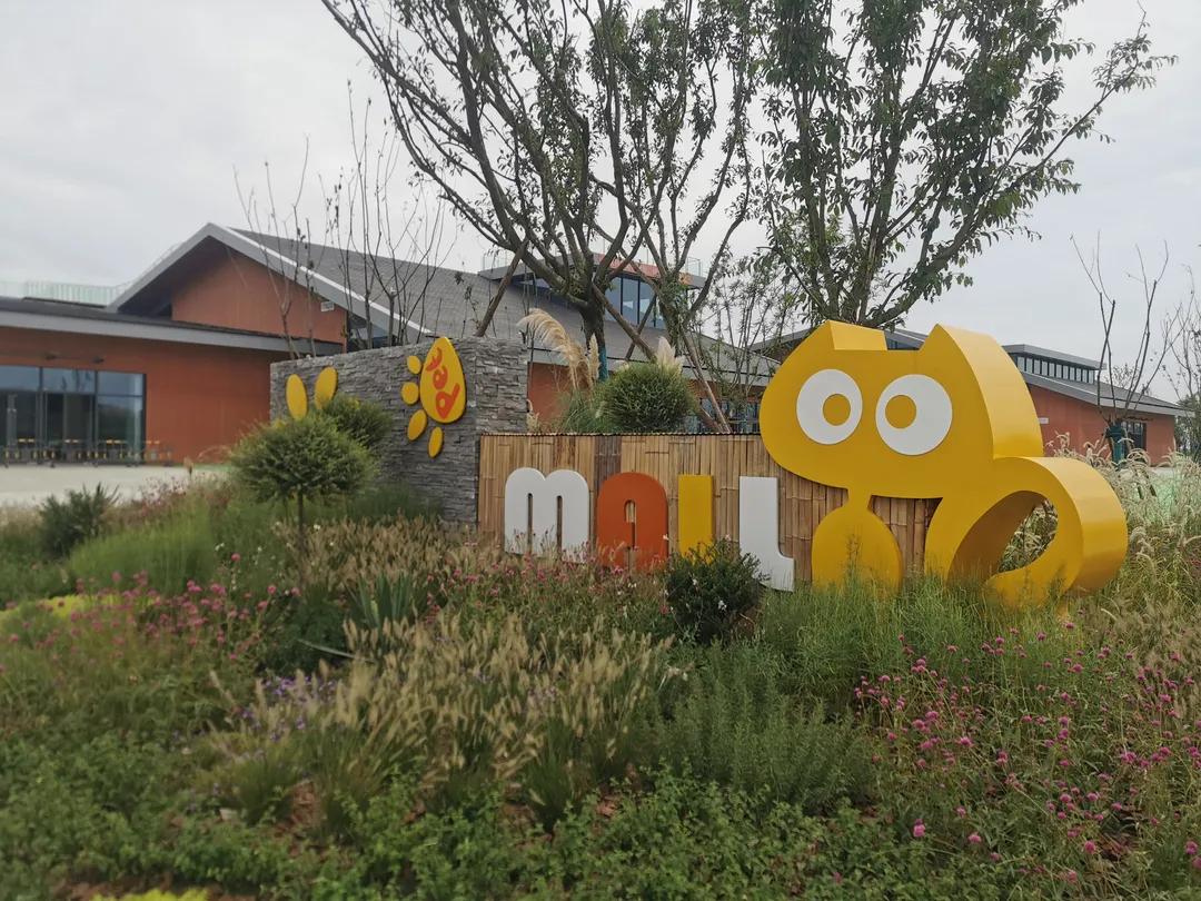 踏青打卡好去处双流空港公园,环城生态公园东片区