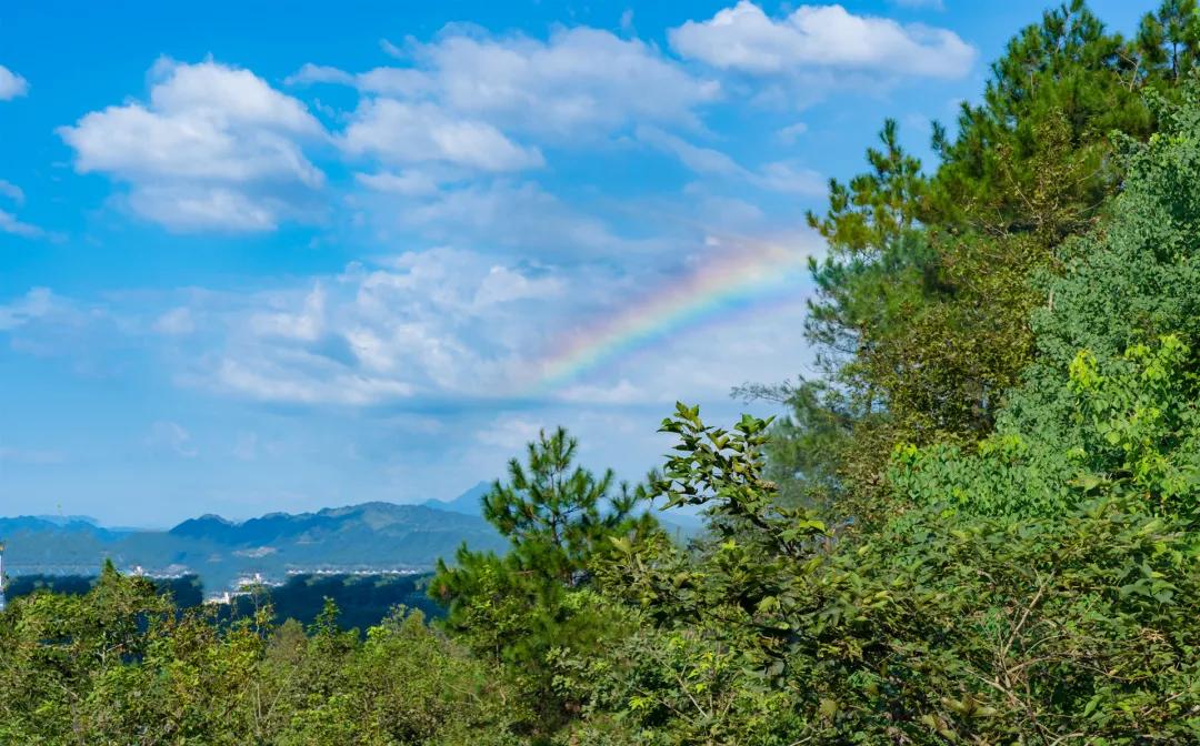 裸心谷民宿1万,裸心谷民宿图片