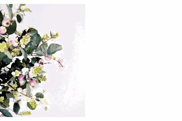 这场关于成华社区「生活美学」的讨论，一定有你参与~