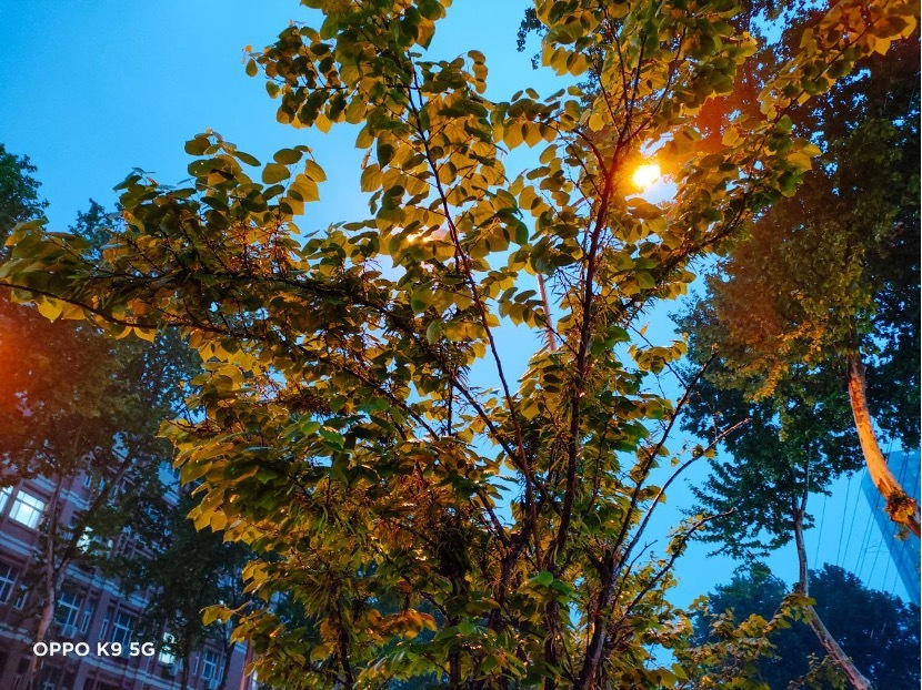 轻体验“对K套装”，大欧玩超值体验究竟如何？