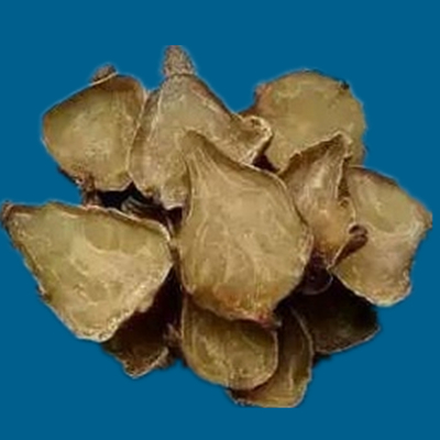 附子的种类图片大全,附子有多少种品种图片